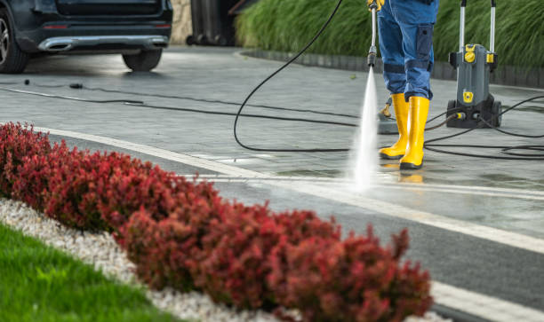 Professional Pressure Washing Services in Cologne, NJ